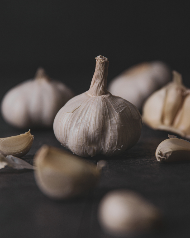 Garlic