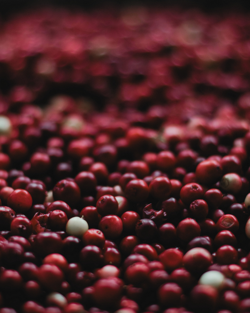 Cranberry