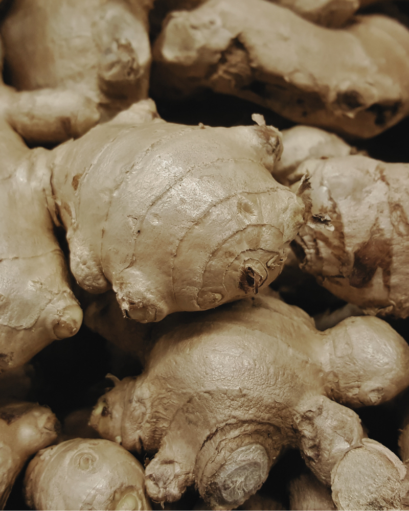Ginger