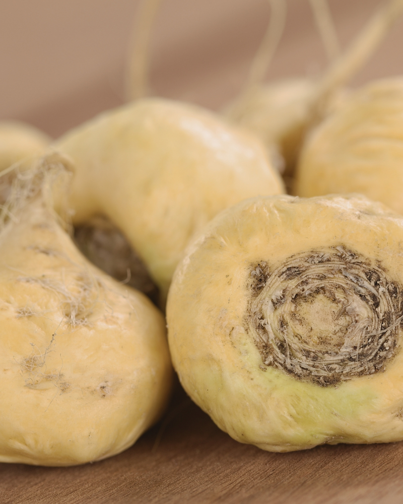 Maca