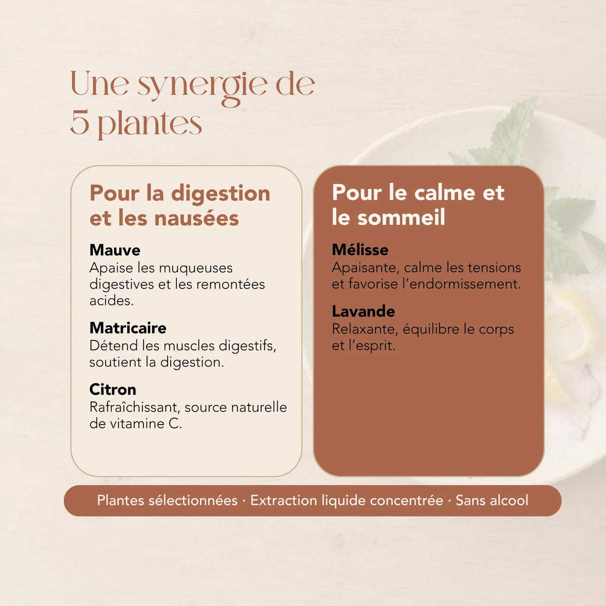 Composition de l'élixir Bébé & moi : mauve, matricaire, citron, mélisse et lavande