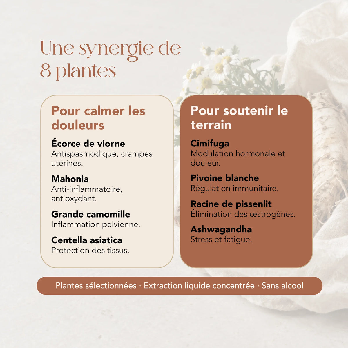 Composition de l'élixir Endo Love : 8 plantes dont viorne, mahonia, pivoine blanche et ashwagandha