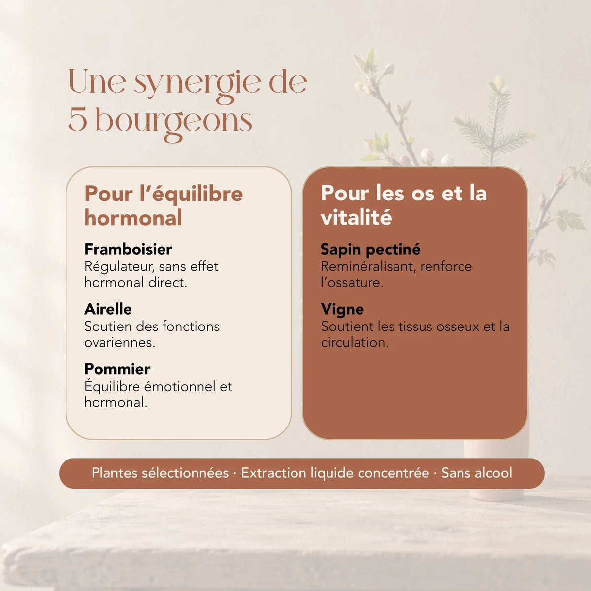 Composition de l'élixir Femme Sage Gemmo : 5 bourgeons dont framboisier, airelle et sapin pectiné