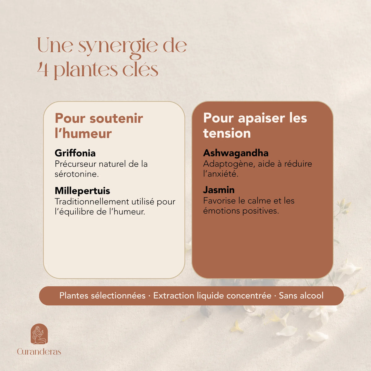 Composition de l'élixir Good Mood : griffonia, millepertuis, ashwagandha et jasmin