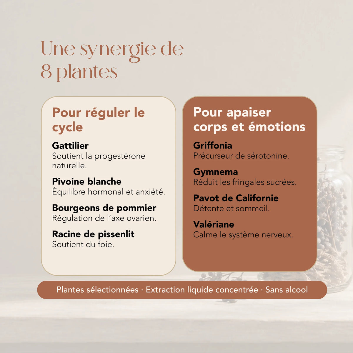 Composition de l'élixir Harmonie Prémenstruelle : 8 plantes dont gattilier, griffonia et valériane