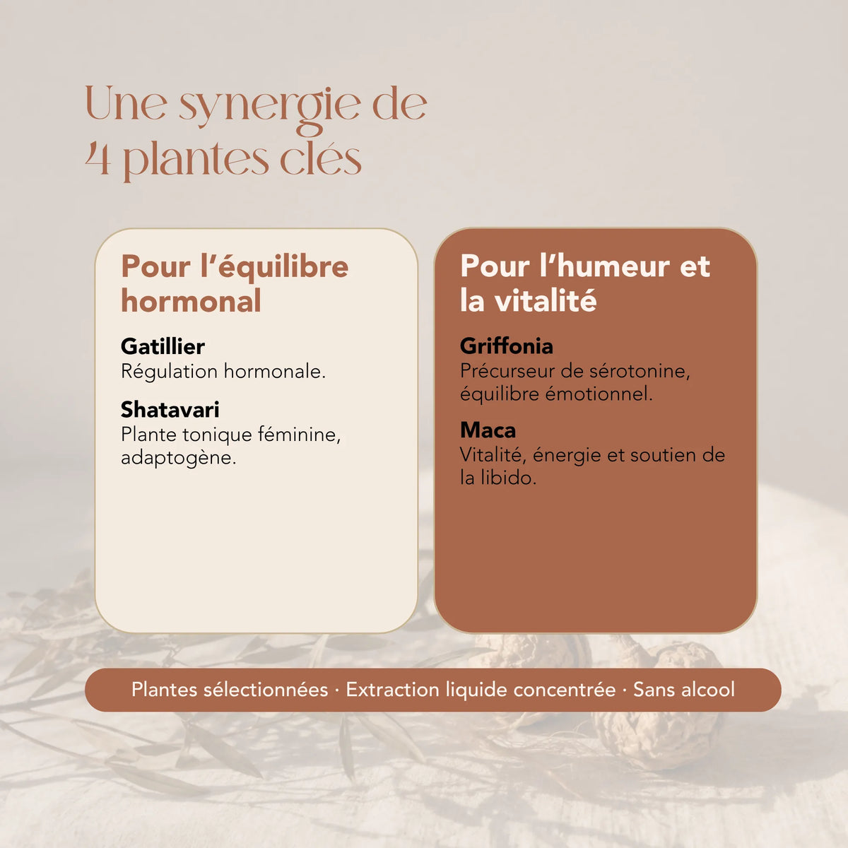 Composition de l'élixir La Chamana : gattilier, shatavari, griffonia et maca