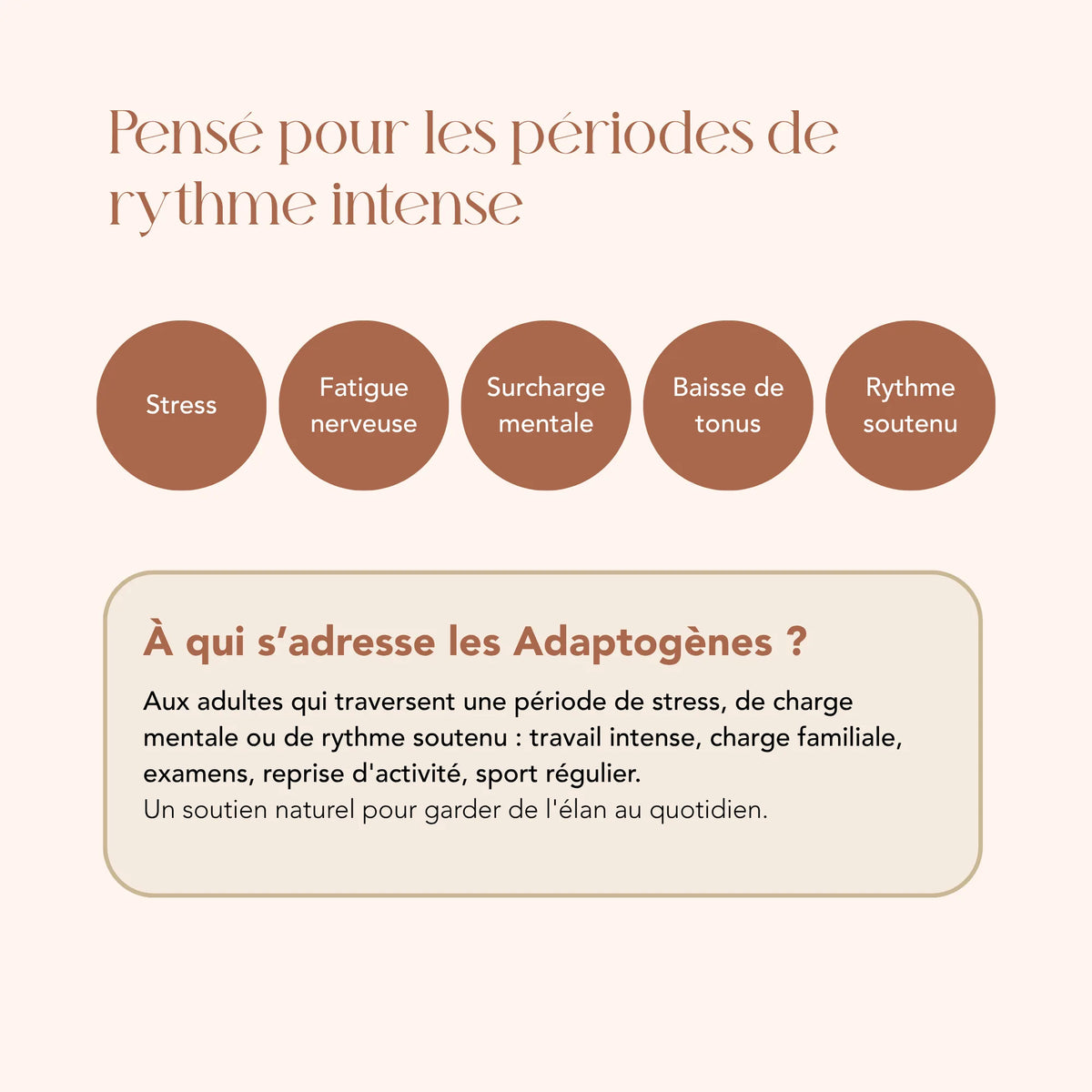 À qui s'adresse l'élixir Les Adaptogènes : adultes en période de charge mentale ou de rythme soutenu
