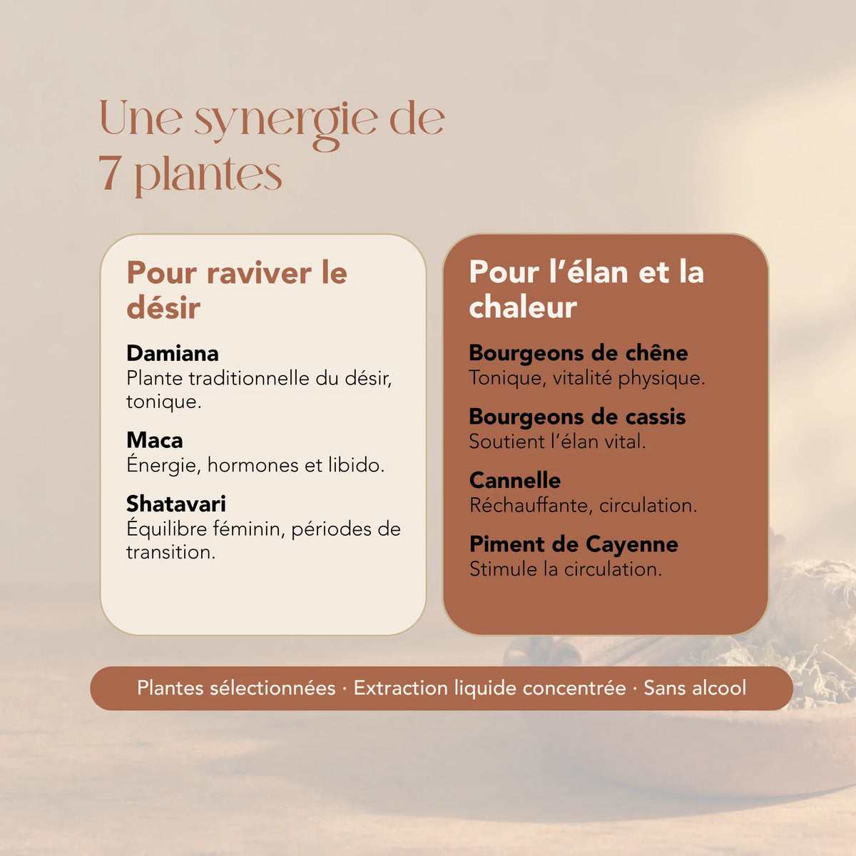 Composition de l'élixir Les Aphrodisiaques : 7 plantes dont damiana, maca, shatavari et cannelle