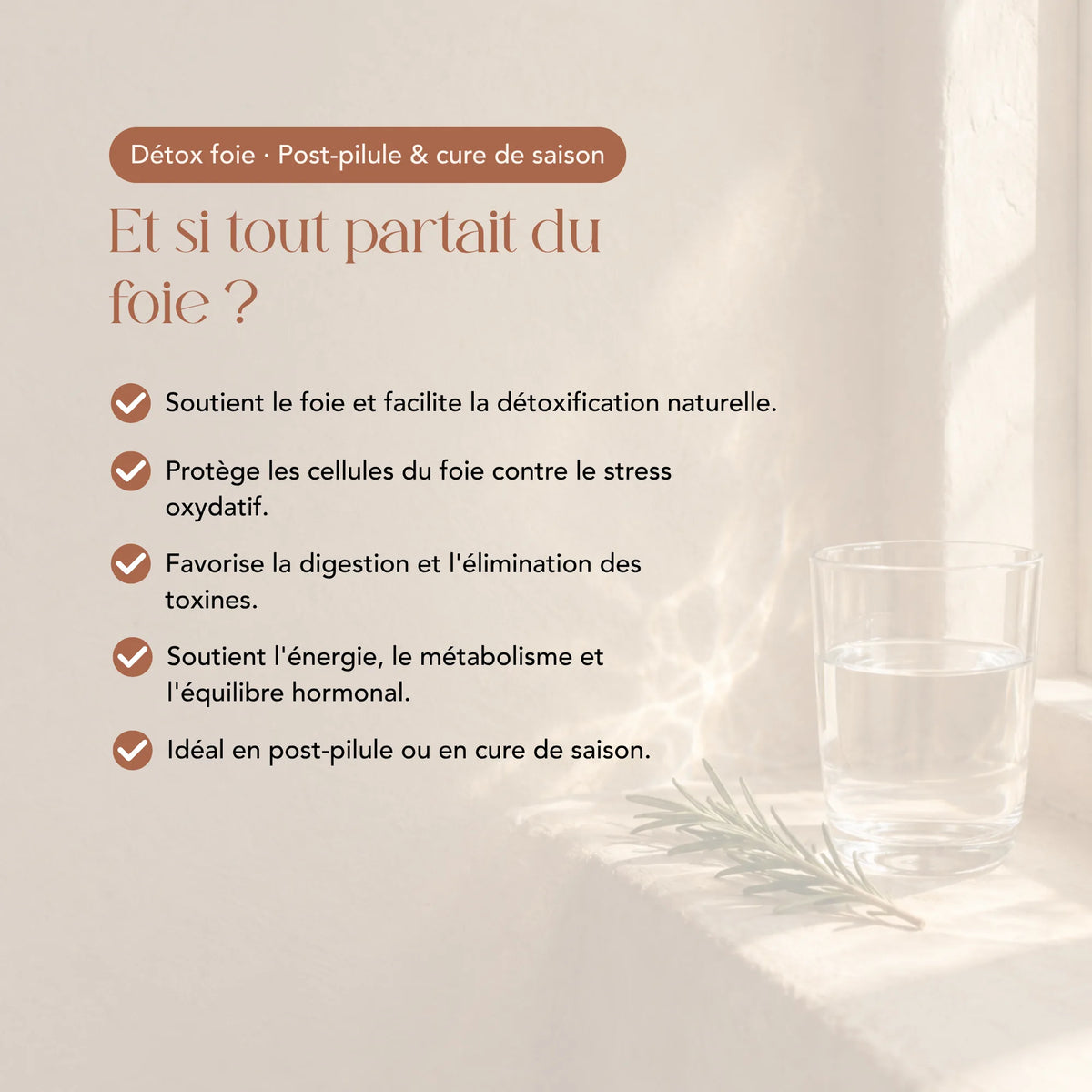 Élixir Les Dépuratives Curanderas, cure de saison pour le foie