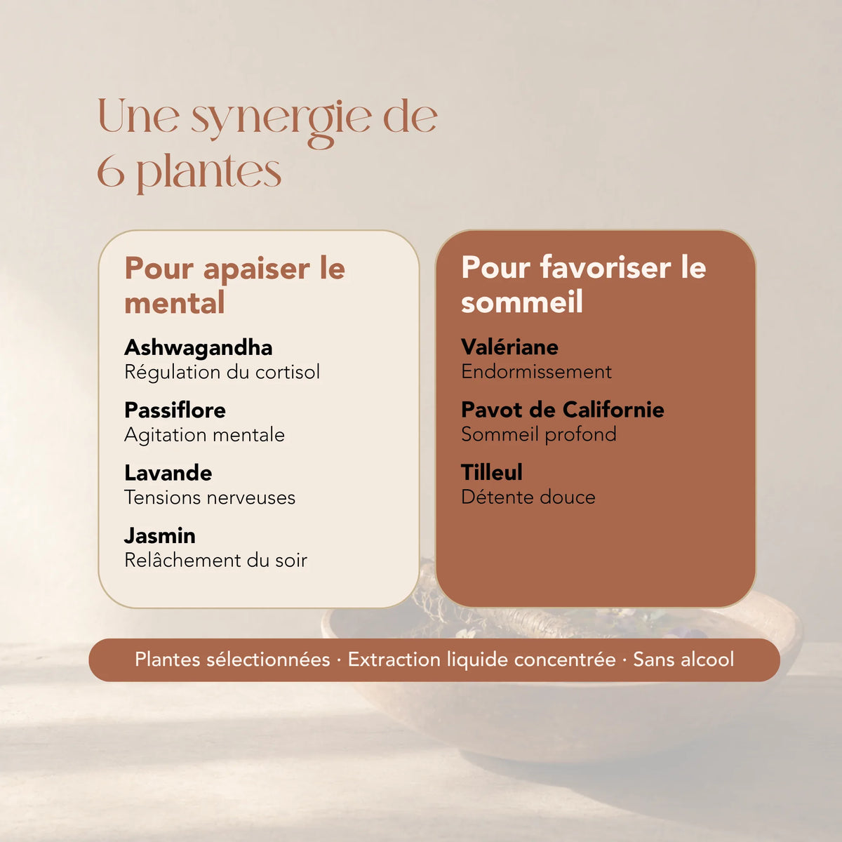 Composition de l'élixir Les Relaxantes : ashwagandha, passiflore, lavande, valériane, pavot de Californie et tilleul