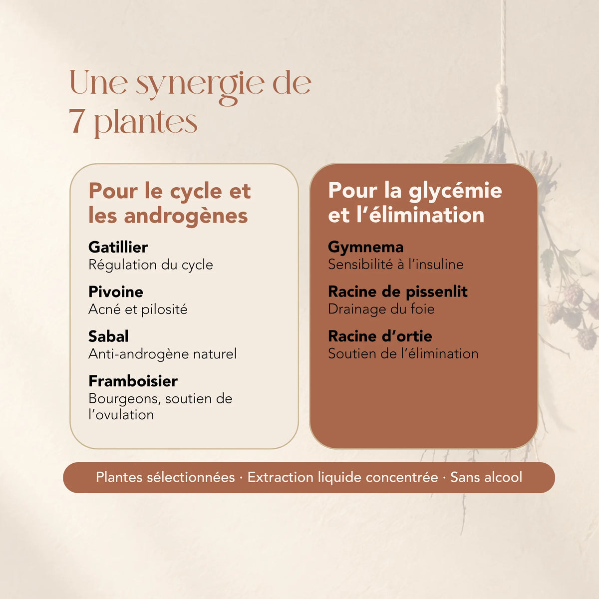 Composition de l'élixir OPK Love : 7 plantes dont gattilier, pivoine, sabal et gymnema